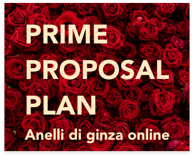 PRIME PROPOSAL PLAN